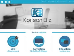 consultant seo