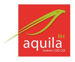 L'interim vu par l'agence Aquila RH