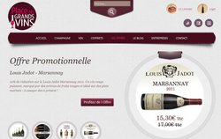Place des Grands Vins, le caviste en ligne de vos plaisirs 