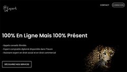 Bagheera : votre cabinet d’expert-comptable en ligne disponible à tout moment