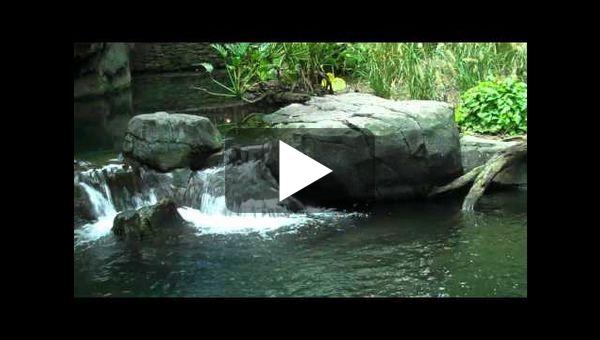 chute d'eau